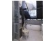 Hannam Vale NSW 2443
