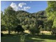 399 Tiri Road, Knorrit Flat NSW 2424