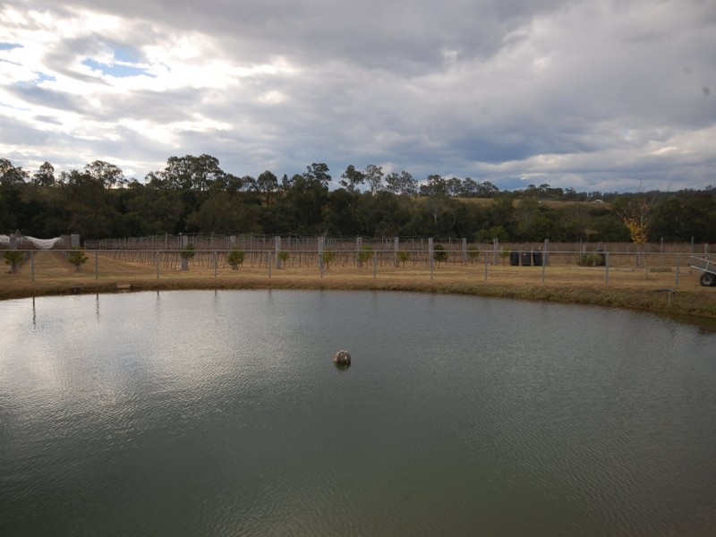 35 Appletree Street, Wingham NSW 2429