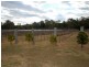 35 Appletree Street, Wingham NSW 2429