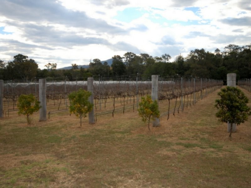 35 Appletree Street, Wingham NSW 2429