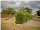 35 Appletree Street, Wingham NSW 2429