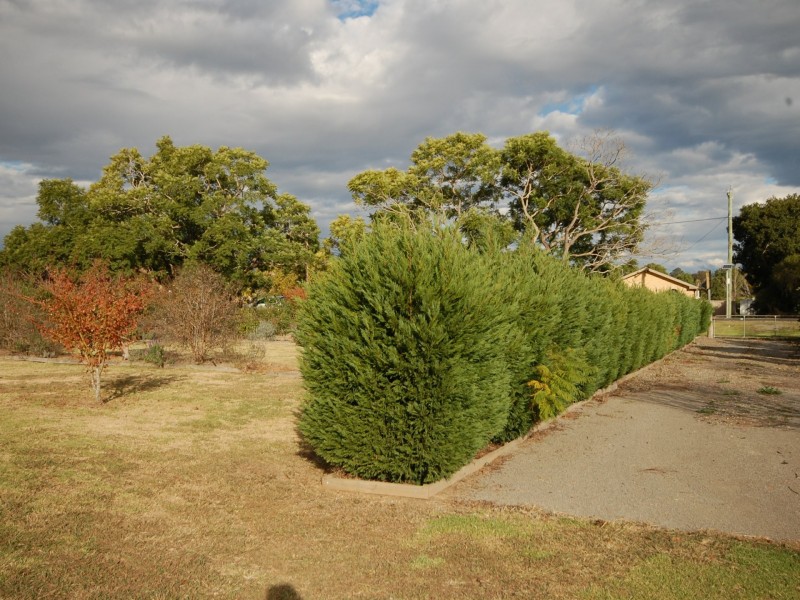 35 Appletree Street, Wingham NSW 2429