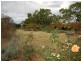 35 Appletree Street, Wingham NSW 2429