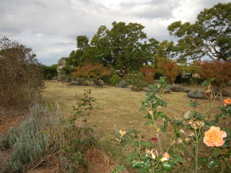 35 Appletree Street, Wingham NSW 2429
