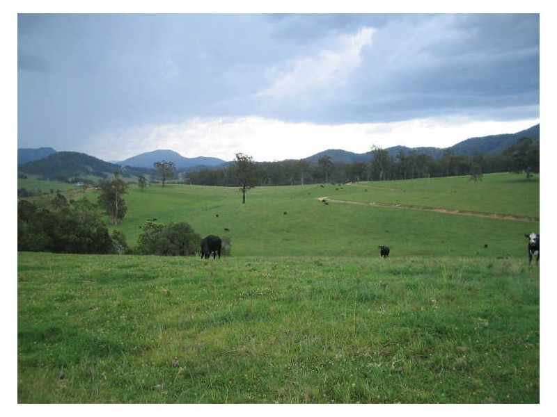 Knorrit Flat NSW 2424