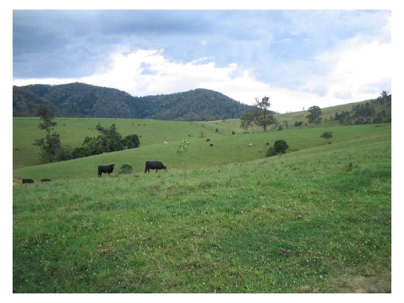 Knorrit Flat NSW 2424