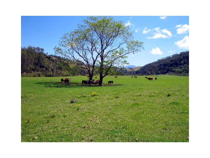 Knorrit Flat NSW 2424