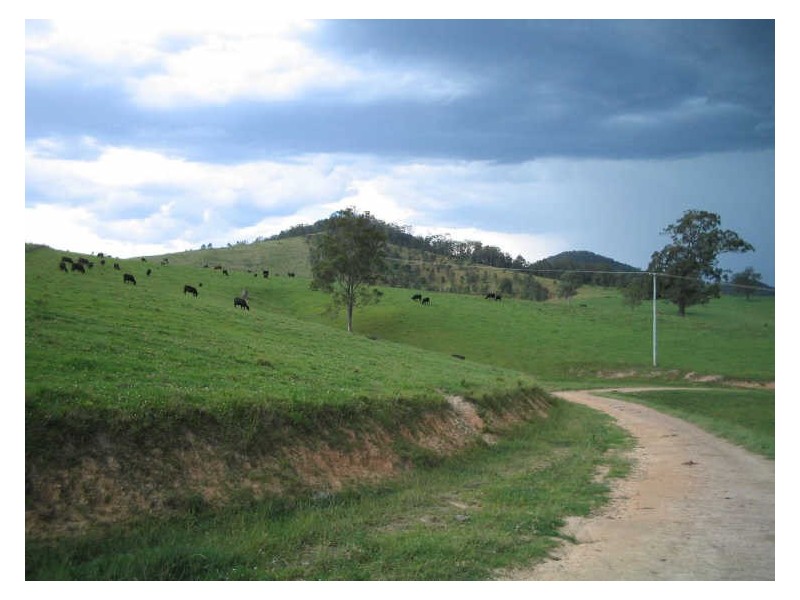 Knorrit Flat NSW 2424