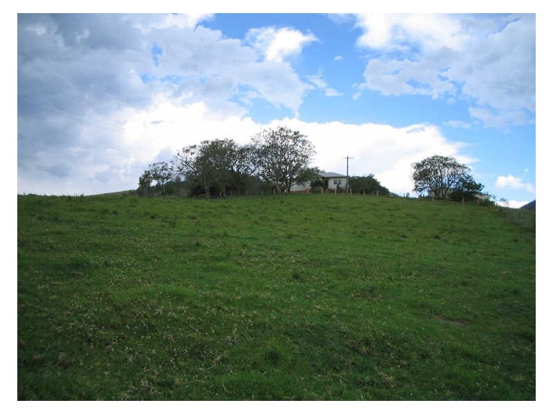 Knorrit Flat NSW 2424