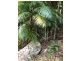 Lansdowne NSW 2430