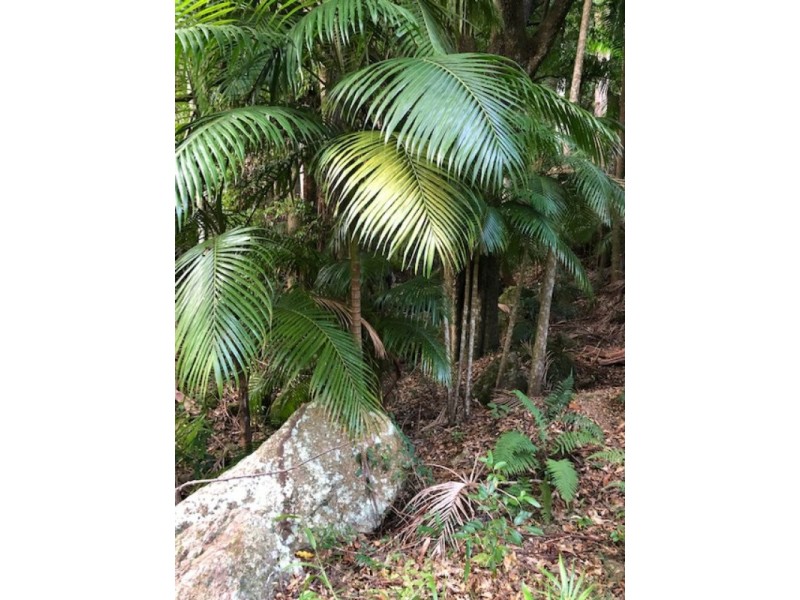 Lansdowne NSW 2430