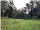 Lansdowne NSW 2430