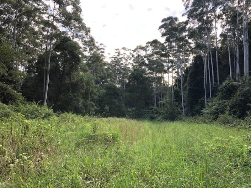 Lansdowne NSW 2430