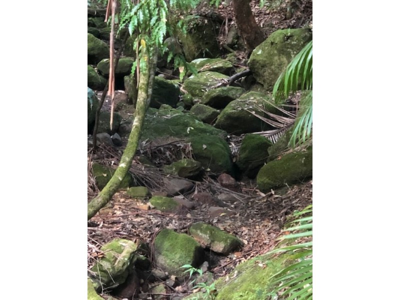 Lansdowne NSW 2430