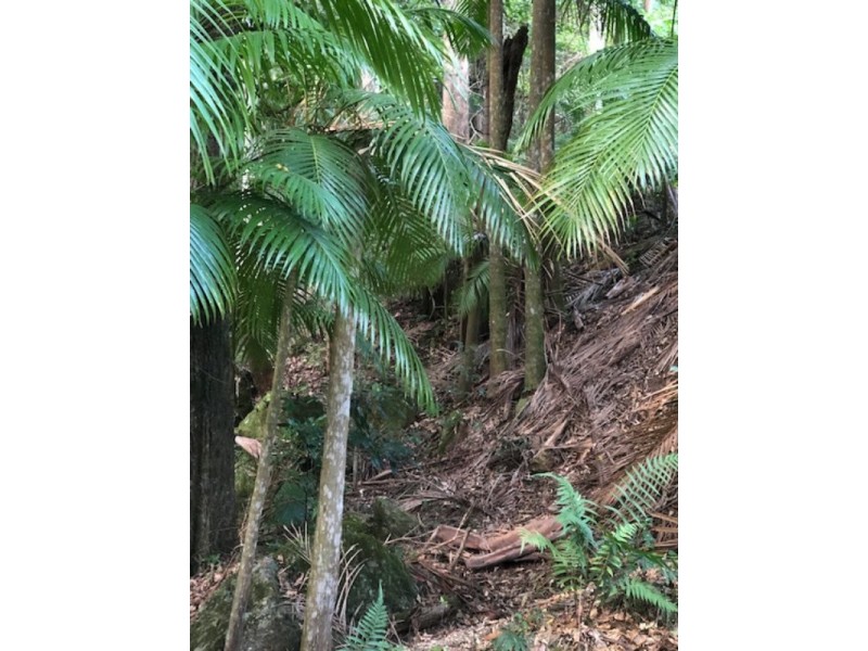 Lansdowne NSW 2430