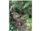 Lansdowne NSW 2430