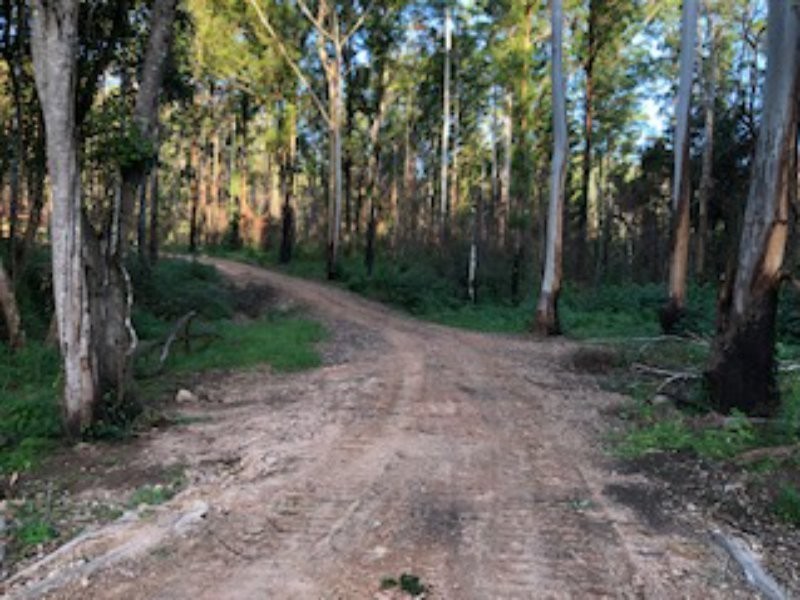 Lot 71 Careys Road, Hillville NSW 2430