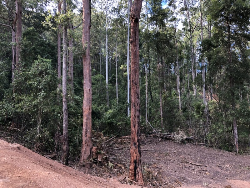 Lot 71 Careys Road, Hillville NSW 2430