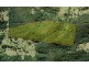 Lot 71 Careys Road, Hillville NSW 2430