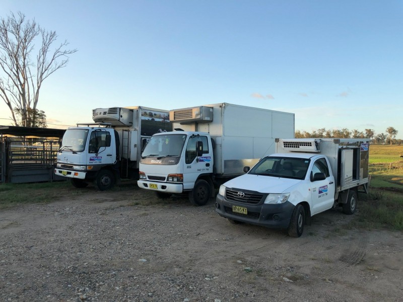Grafton NSW 2460