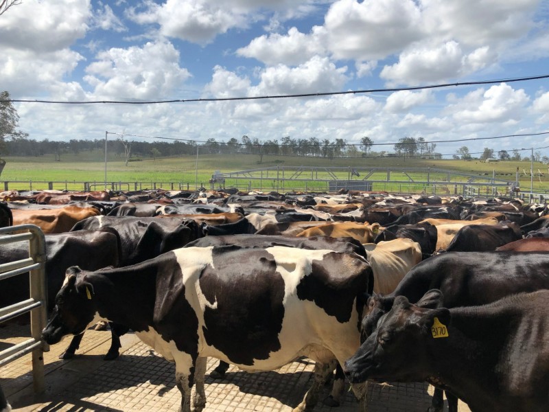 1550 Lawrence Road, Southgate NSW 2460