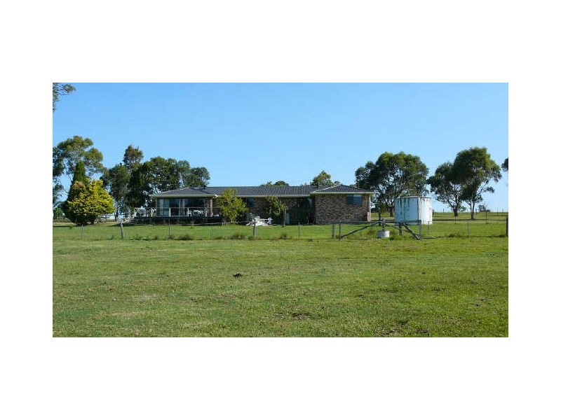 Cedar Party NSW 2429