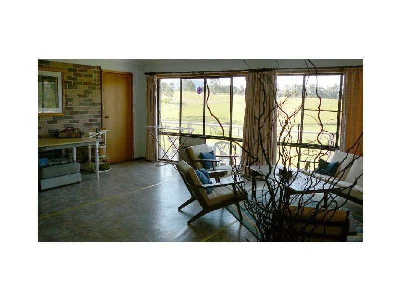 Cedar Party NSW 2429