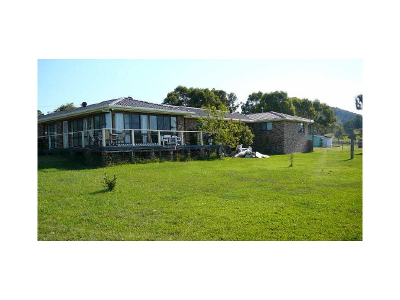 Cedar Party NSW 2429