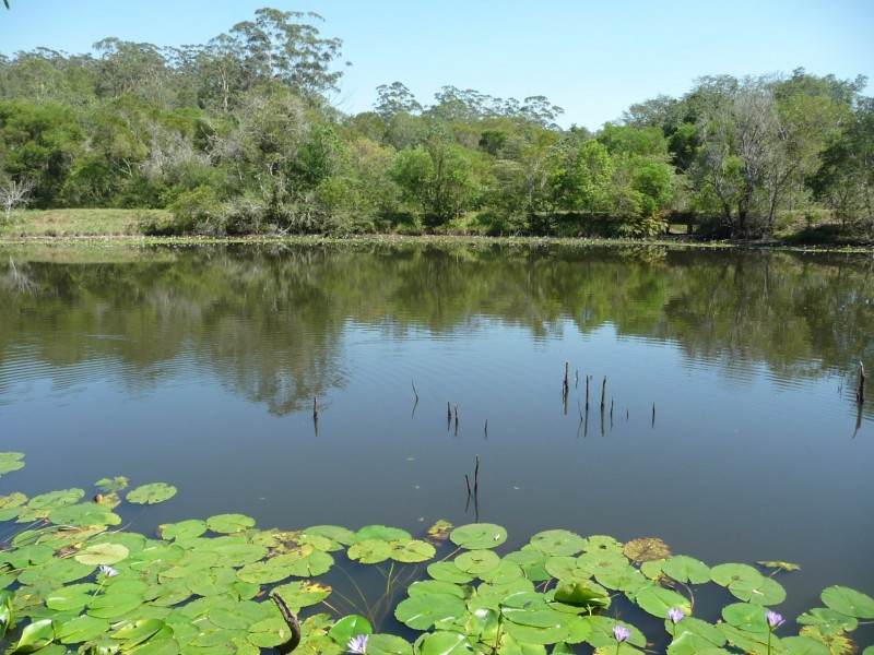 342 Deep Creek Road, Hannam Vale NSW 2443