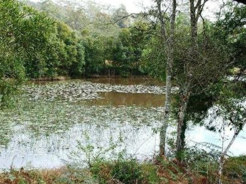 342 Deep Creek Road, Hannam Vale NSW 2443