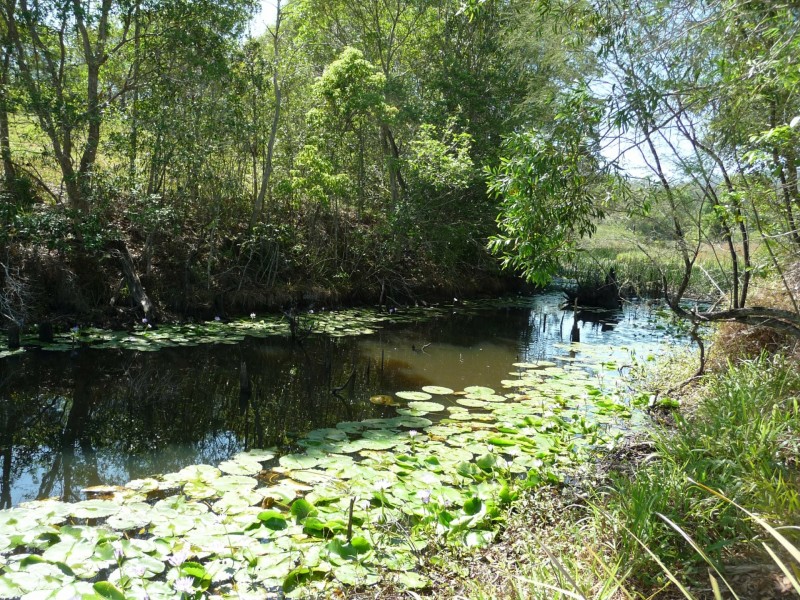 342 Deep Creek Road, Hannam Vale NSW 2443