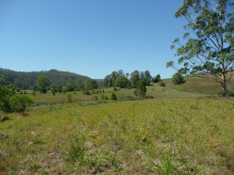 342 Deep Creek Road, Hannam Vale NSW 2443