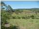 342 Deep Creek Road, Hannam Vale NSW 2443