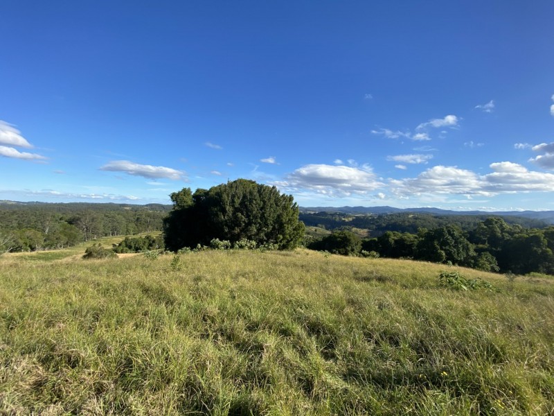 Lot 29 Tilbaroo Road, Elands NSW 2429