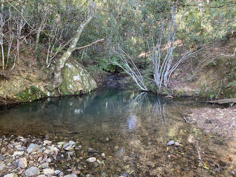 Lot 29 Tilbaroo Road, Elands NSW 2429