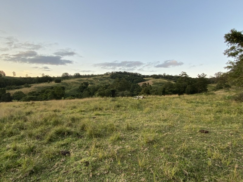 Lot 29 Tilbaroo Road, Elands NSW 2429
