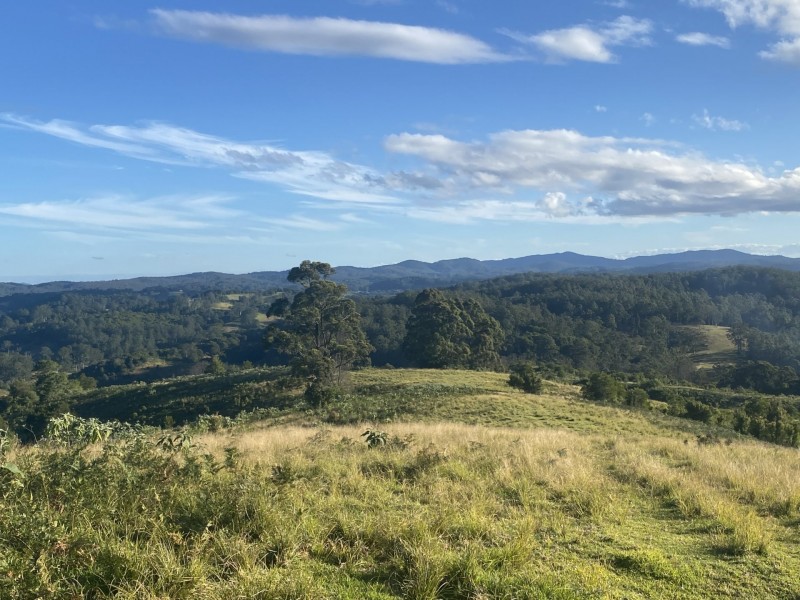 Lot 29 Tilbaroo Road, Elands NSW 2429