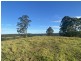 Lot 29 Tilbaroo Road, Elands NSW 2429