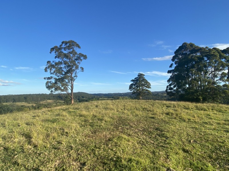 Lot 29 Tilbaroo Road, Elands NSW 2429