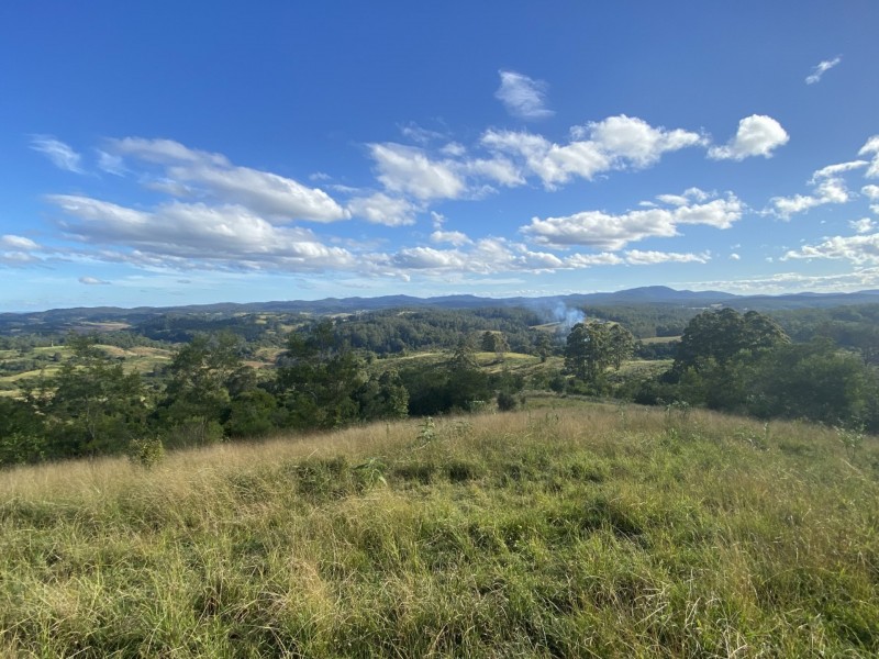 Lot 29 Tilbaroo Road, Elands NSW 2429