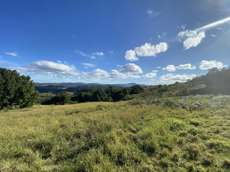 Lot 29 Tilbaroo Road, Elands NSW 2429