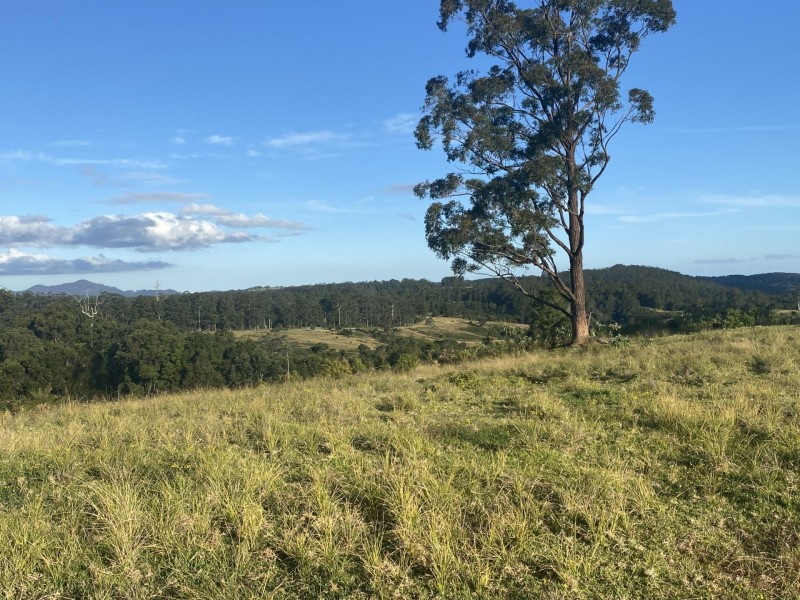 Lot 29 Tilbaroo Road, Elands NSW 2429