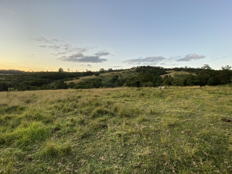 Lot 29 Tilbaroo Road, Elands NSW 2429