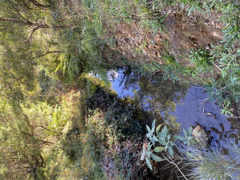 Lot 29 Tilbaroo Road, Elands NSW 2429