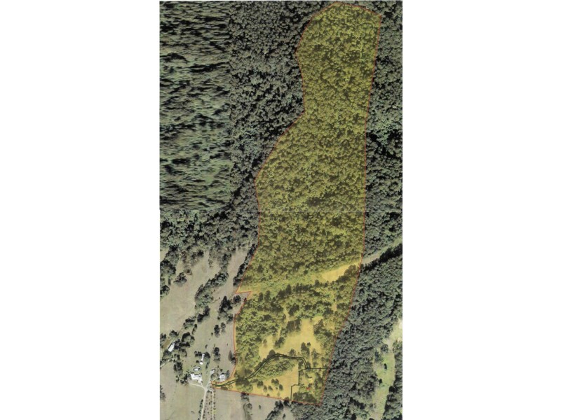 90 McCaffreys Road, Hannam Vale NSW 2443