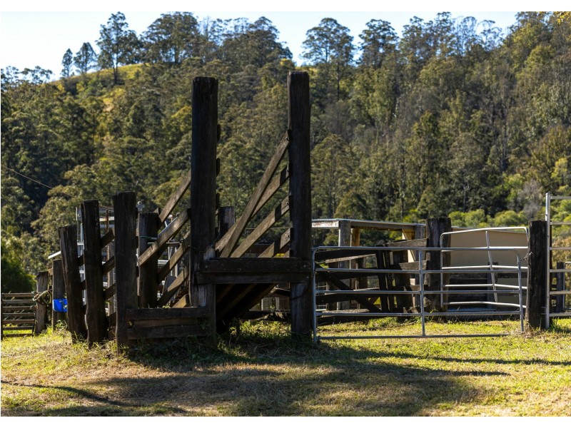 1428 Mooral Creek Road, Mooral Creek NSW 2429