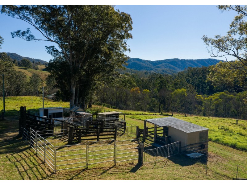 1428 Mooral Creek Road, Mooral Creek NSW 2429