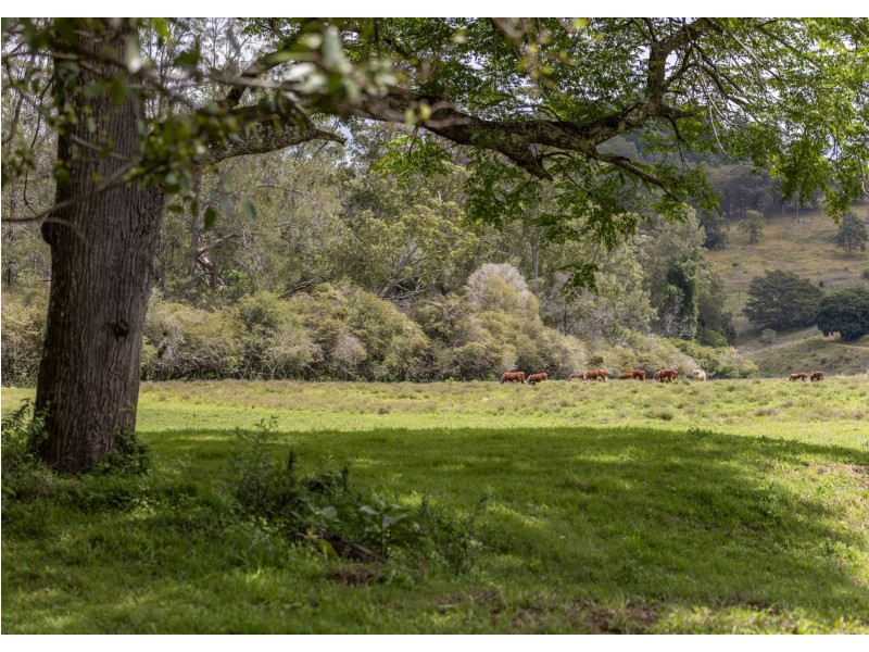 Wherrol Flat NSW 2429