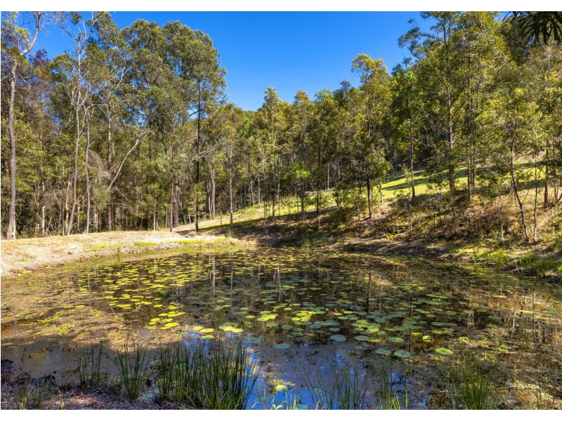 1443 Bulga Road, Marlee NSW 2429